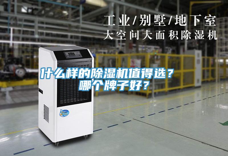 什么樣的除濕機值得選？ 哪個牌子好？