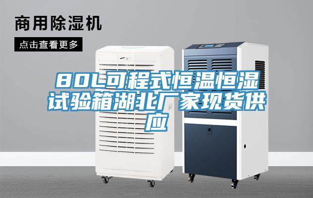 80L可程式恒溫恒濕試驗箱湖北廠家現(xiàn)貨供應