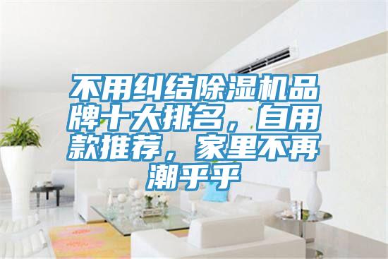 不用糾結除濕機品牌十大排名，自用款推薦，家里不再潮乎乎