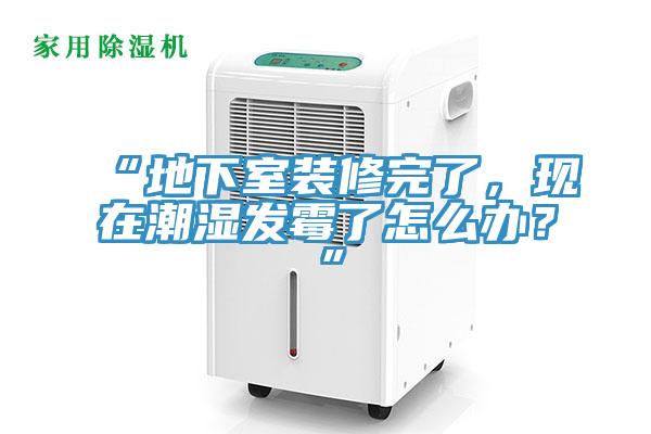 “地下室裝修完了，現(xiàn)在潮濕發(fā)霉了怎么辦？”