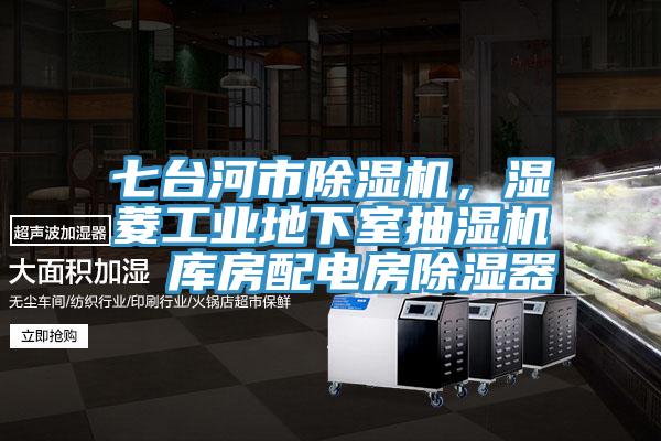 七臺(tái)河市除濕機(jī)，濕菱工業(yè)地下室抽濕機(jī)  庫(kù)房配電房除濕器