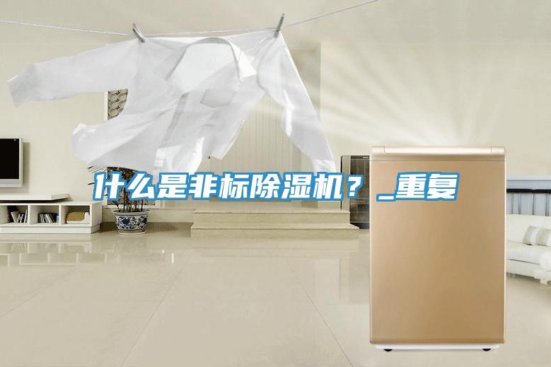 什么是非標除濕機？_重復