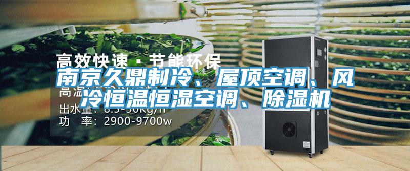 南京久鼎制冷、屋頂空調(diào)、風冷恒溫恒濕空調(diào)、除濕機