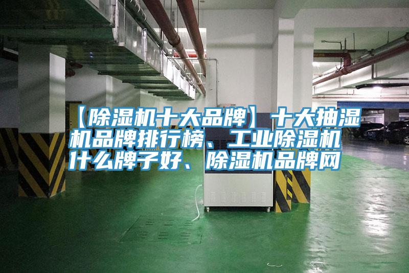 【除濕機(jī)十大品牌】十大抽濕機(jī)品牌排行榜、工業(yè)除濕機(jī)什么牌子好、除濕機(jī)品牌網(wǎng)