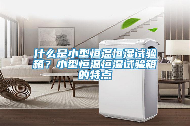 什么是小型恒溫恒濕試驗箱？小型恒溫恒濕試驗箱的特點(diǎn)
