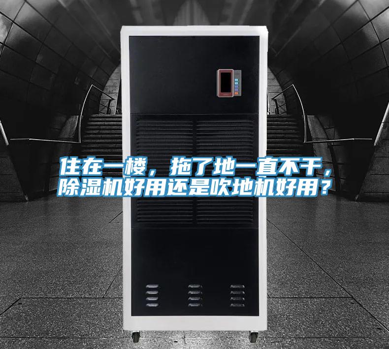 住在一樓，拖了地一直不干，除濕機好用還是吹地機好用？