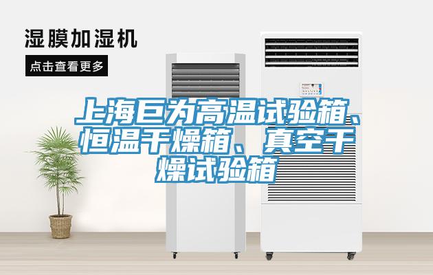 上海巨為高溫試驗(yàn)箱、恒溫干燥箱、真空干燥試驗(yàn)箱