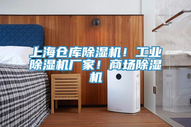 上海倉(cāng)庫(kù)除濕機(jī)！工業(yè)除濕機(jī)廠家！商場(chǎng)除濕機(jī)