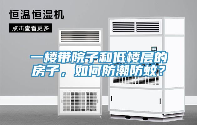 一樓帶院子和低樓層的房子，如何防潮防蚊？