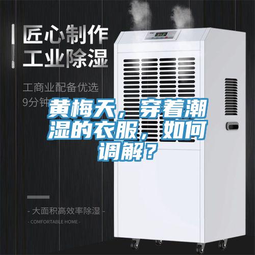 黃梅天，穿著潮濕的衣服，如何調(diào)解？