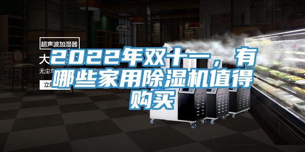 2022年雙十一，有哪些家用除濕機(jī)值得購(gòu)買