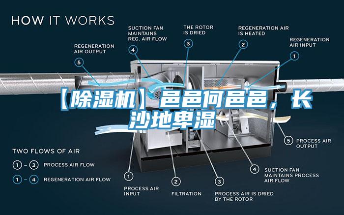 【除濕機】邑邑何邑邑，長沙地卑濕