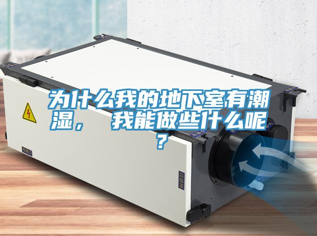 為什么我的地下室有潮濕， 我能做些什么呢？