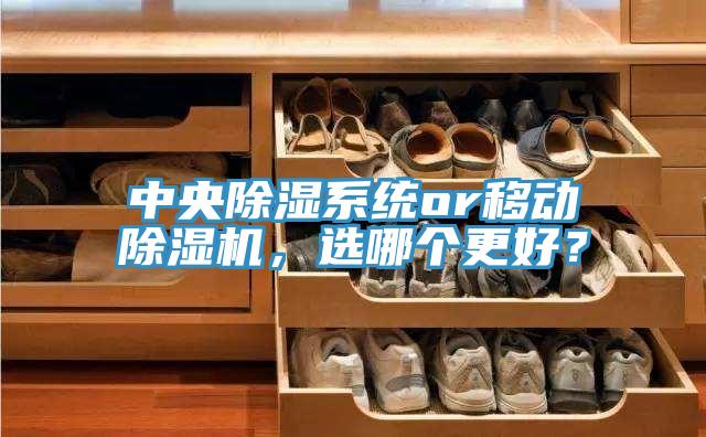 中央除濕系統(tǒng)or移動除濕機(jī)，選哪個更好？