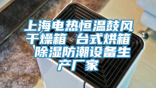 上海電熱恒溫鼓風干燥箱 臺式烘箱 除濕防潮設備生產(chǎn)廠家