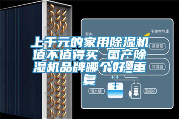 上千元的家用除濕機(jī)值不值得買(mǎi) 國(guó)產(chǎn)除濕機(jī)品牌哪個(gè)好_重復(fù)