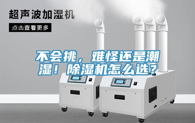 不會(huì)挑，難怪還是潮濕！除濕機(jī)怎么選？