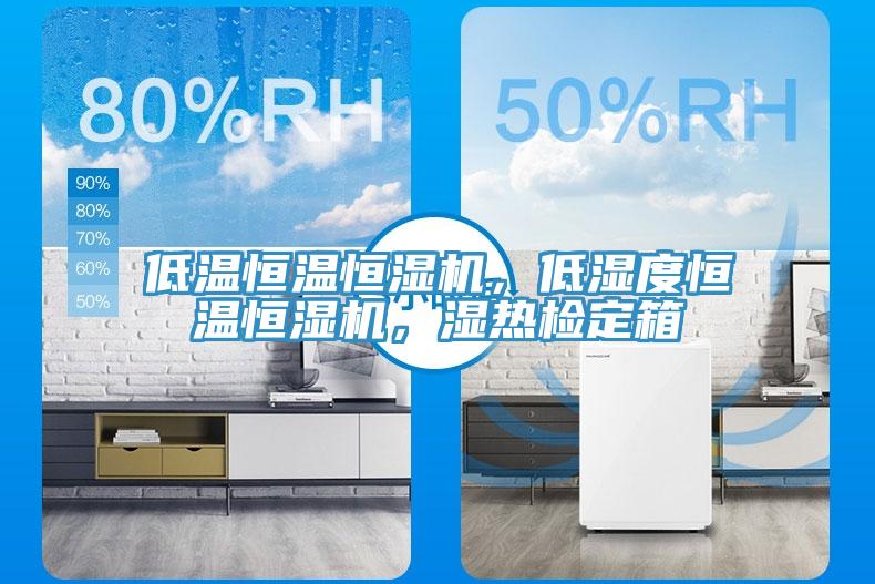 低溫恒溫恒濕機，低濕度恒溫恒濕機，濕熱檢定箱