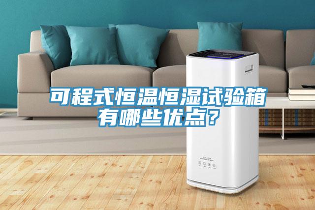 可程式恒溫恒濕試驗(yàn)箱有哪些優(yōu)點(diǎn)？