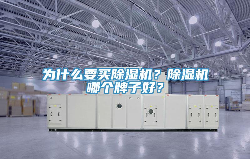 為什么要買除濕機(jī)？除濕機(jī)哪個(gè)牌子好？