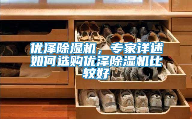 優(yōu)澤除濕機，專家詳述如何選購優(yōu)澤除濕機比較好