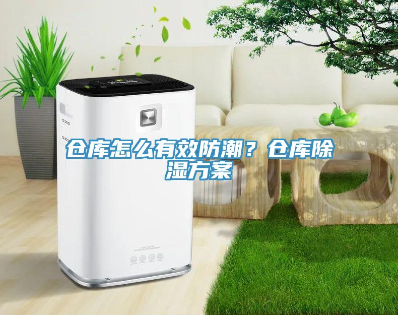 倉(cāng)庫(kù)怎么有效防潮？倉(cāng)庫(kù)除濕方案