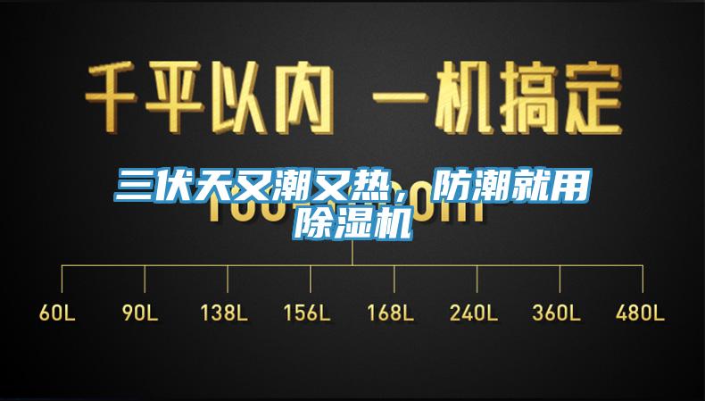 三伏天又潮又熱，防潮就用除濕機