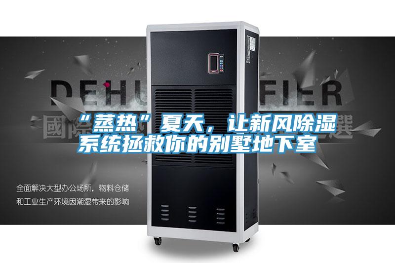 “蒸熱”夏天，讓新風(fēng)除濕系統(tǒng)拯救你的別墅地下室