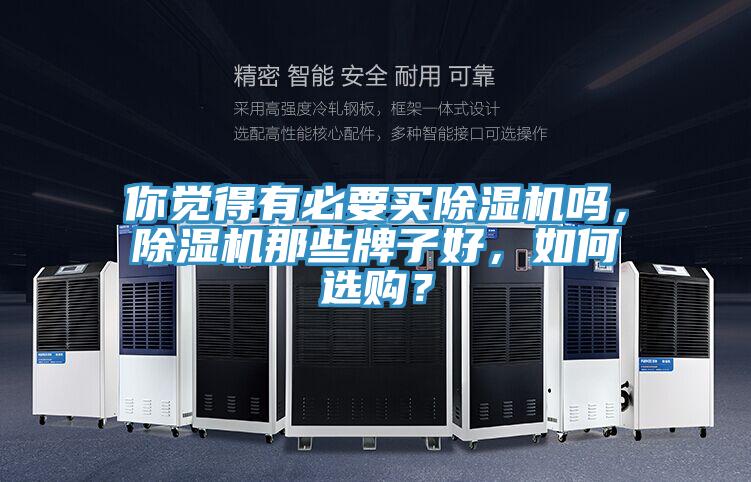 你覺得有必要買除濕機嗎，除濕機那些牌子好，如何選購？