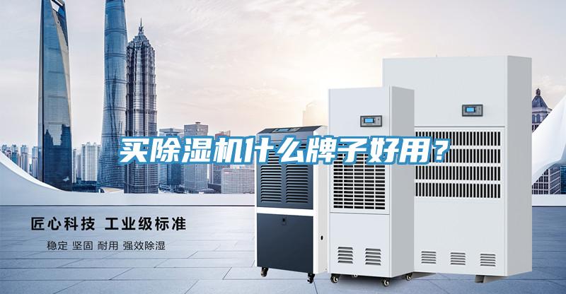 買除濕機什么牌子好用？