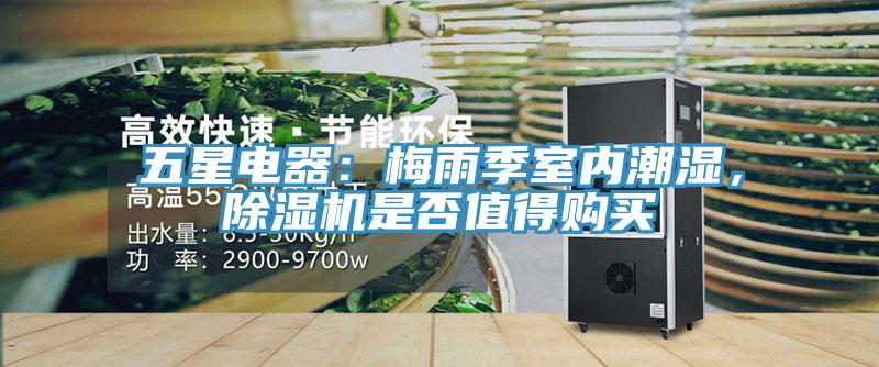 五星電器：梅雨季室內潮濕，除濕機是否值得購買