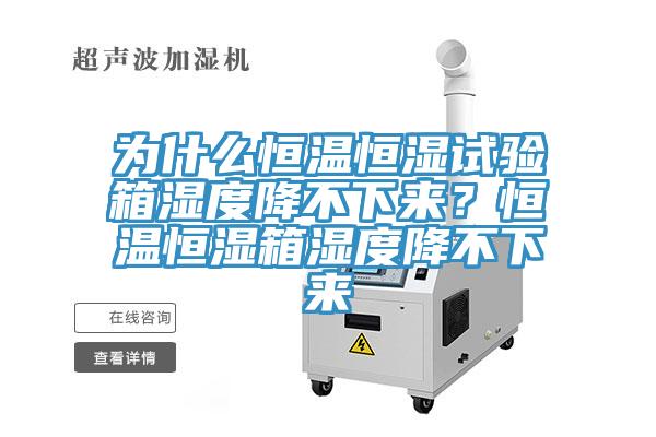 為什么恒溫恒濕試驗箱濕度降不下來？恒溫恒濕箱濕度降不下來