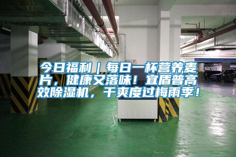 今日福利｜每日一杯營養(yǎng)麥片，健康又落味！宜盾普高效除濕機，干爽度過梅雨季！
