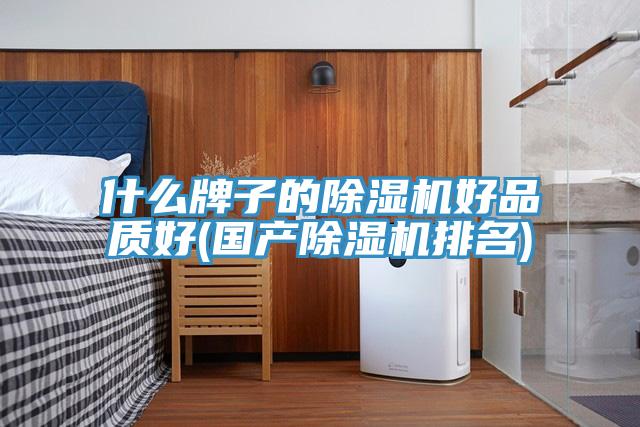 什么牌子的除濕機好品質好(國產(chǎn)除濕機排名)