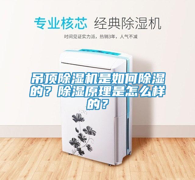 吊頂除濕機是如何除濕的？除濕原理是怎么樣的？