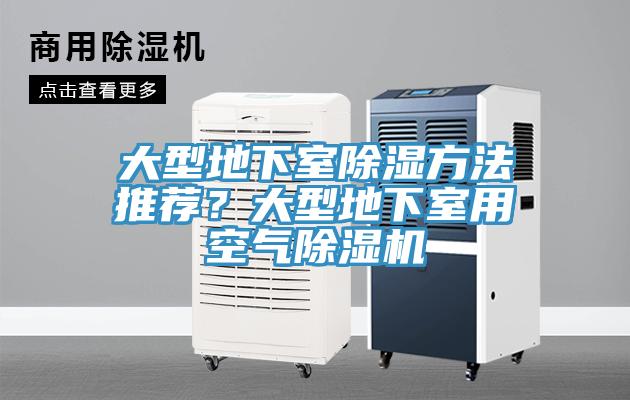 大型地下室除濕方法推薦？大型地下室用空氣除濕機(jī)