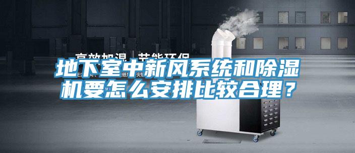 地下室中新風(fēng)系統(tǒng)和除濕機(jī)要怎么安排比較合理？