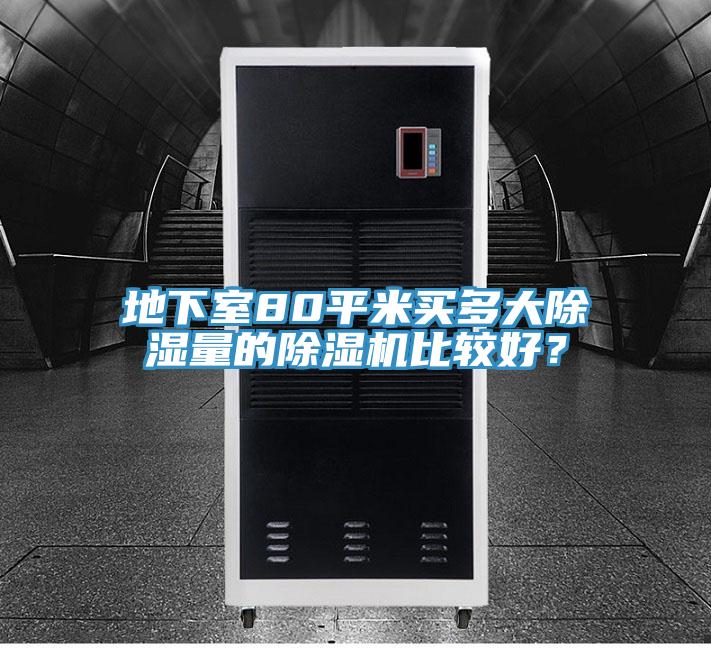 地下室80平米買多大除濕量的除濕機比較好？