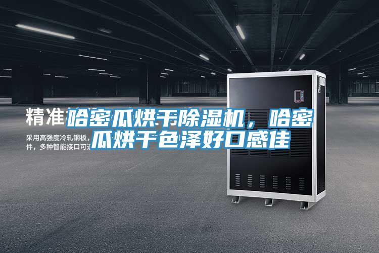 哈密瓜烘干除濕機(jī)，哈密瓜烘干色澤好口感佳