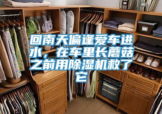回南天偏逢愛(ài)車(chē)進(jìn)水，在車(chē)?yán)镩L(zhǎng)蘑菇之前用除濕機(jī)救了它