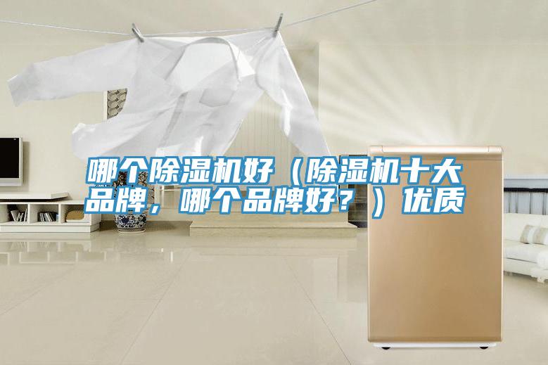 哪個除濕機(jī)好（除濕機(jī)十大品牌，哪個品牌好？）優(yōu)質(zhì)