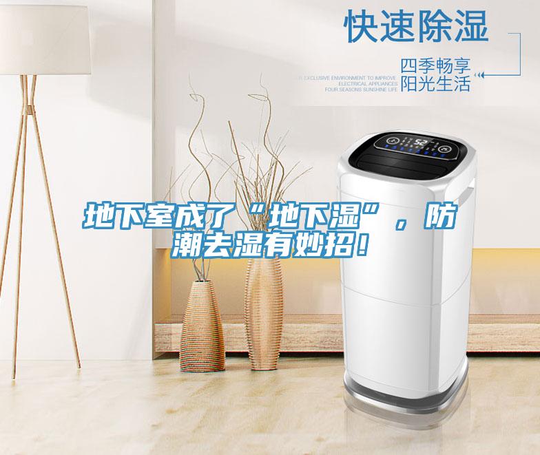 地下室成了“地下濕”，防潮去濕有妙招！