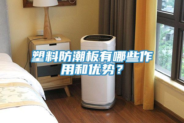 塑料防潮板有哪些作用和優(yōu)勢？
