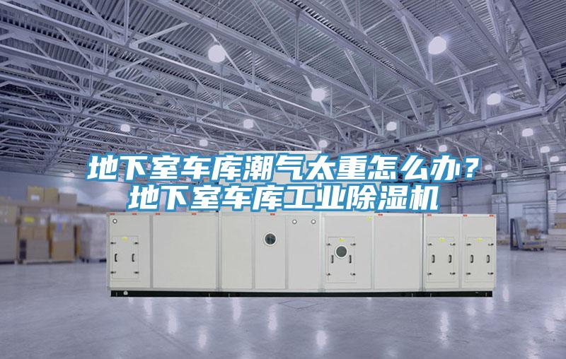 地下室車庫潮氣太重怎么辦？地下室車庫工業(yè)除濕機(jī)