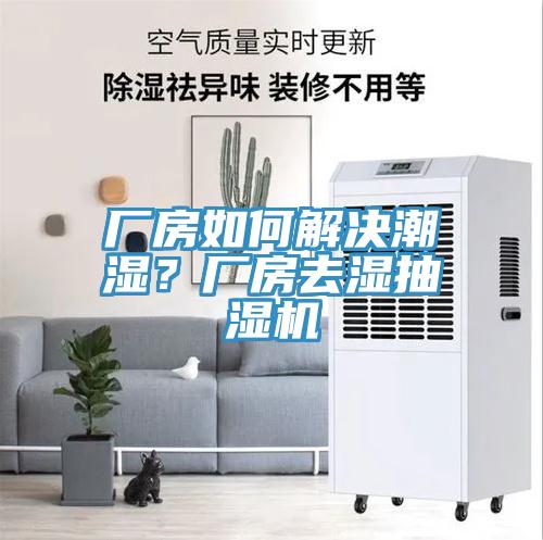 廠房如何解決潮濕？廠房去濕抽濕機