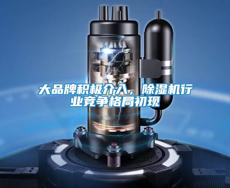大品牌積極介入，除濕機(jī)行業(yè)競爭格局初現(xiàn)