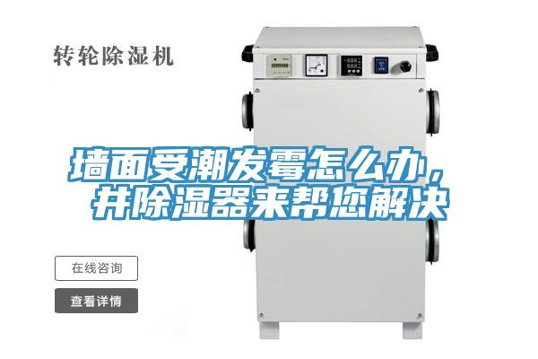 墻面受潮發(fā)霉怎么辦，東井除濕器來幫您解決