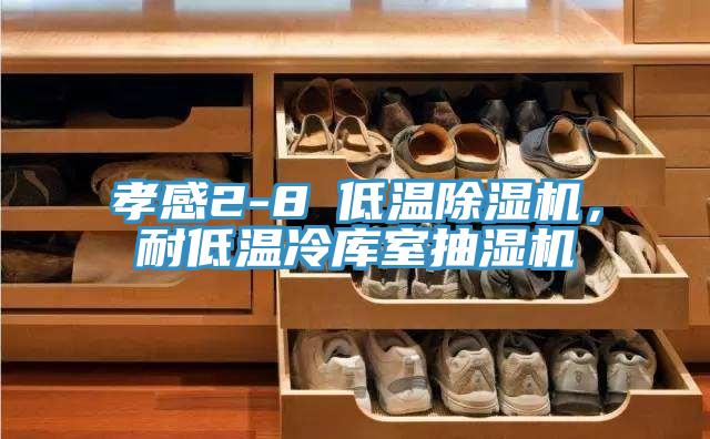 孝感2-8℃低溫除濕機，耐低溫冷庫室抽濕機