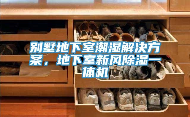 別墅地下室潮濕解決方案，地下室新風(fēng)除濕一體機(jī)