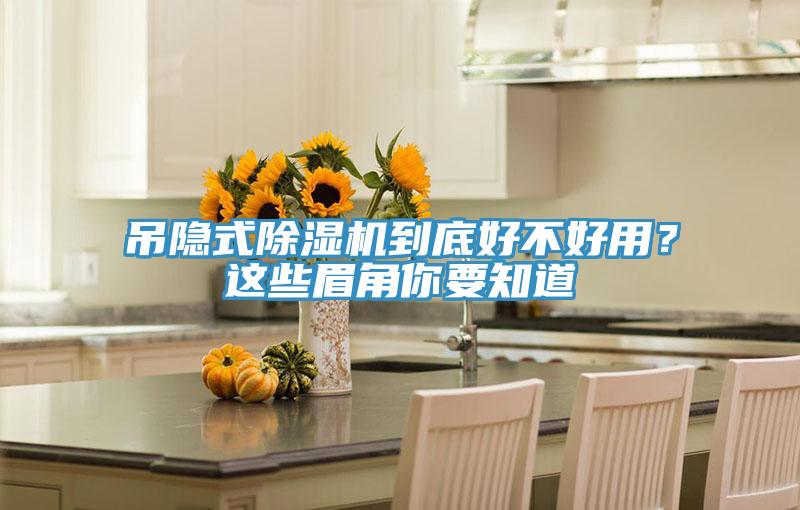 吊隱式除濕機(jī)到底好不好用？這些眉角你要知道